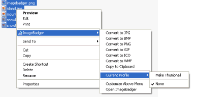 Convert Image To Windows Metafile with ImageBadger